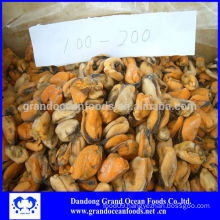 Frozen boiled blue mussel meat